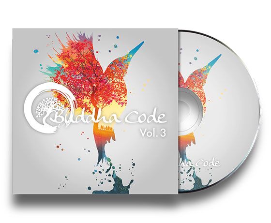 Buddha Code Vol. 3 – Bild 1