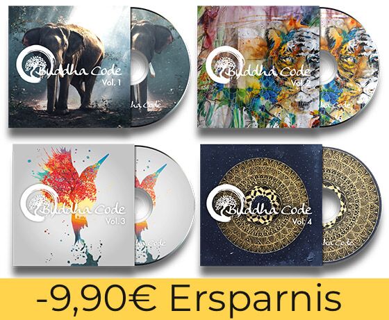 4er Musik-Paket – Bild 1