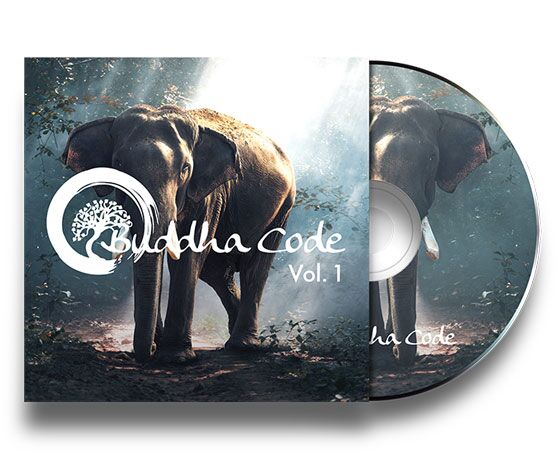 Buddha Code Vol. 1 – Bild 1